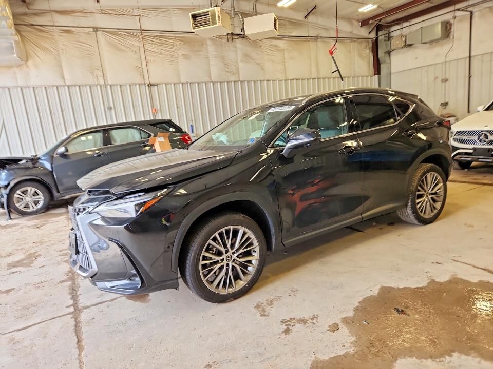 2024 LEXUS NX
