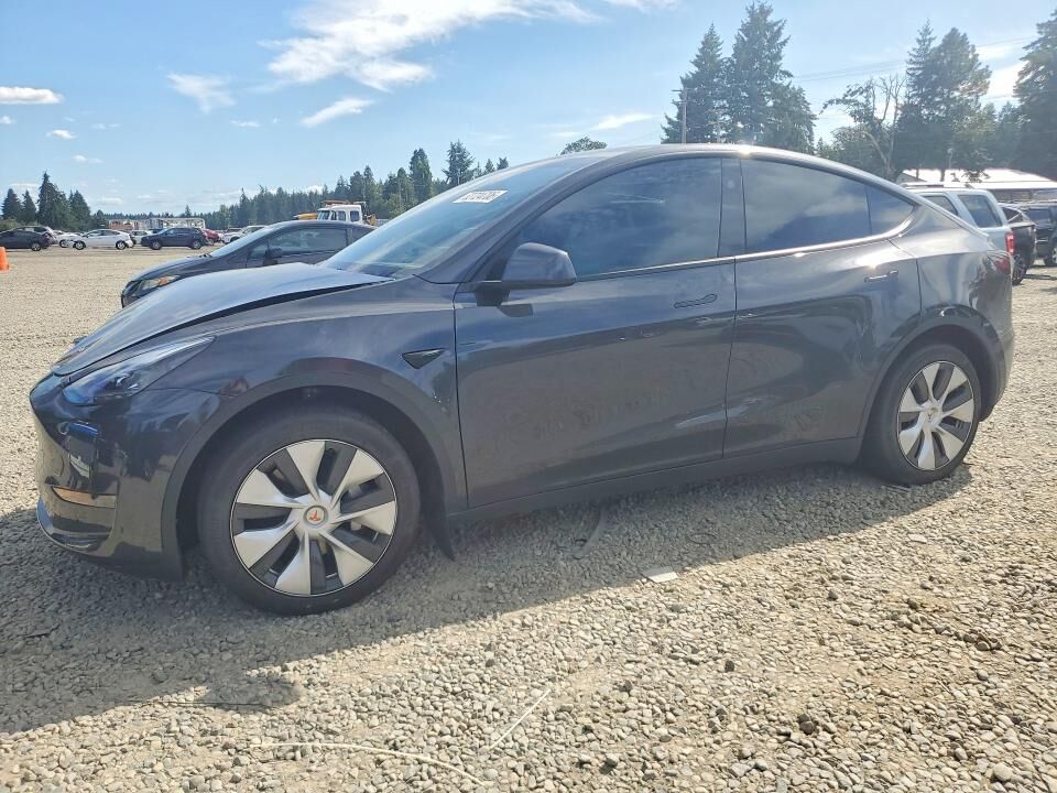 2024 TESLA Model Y