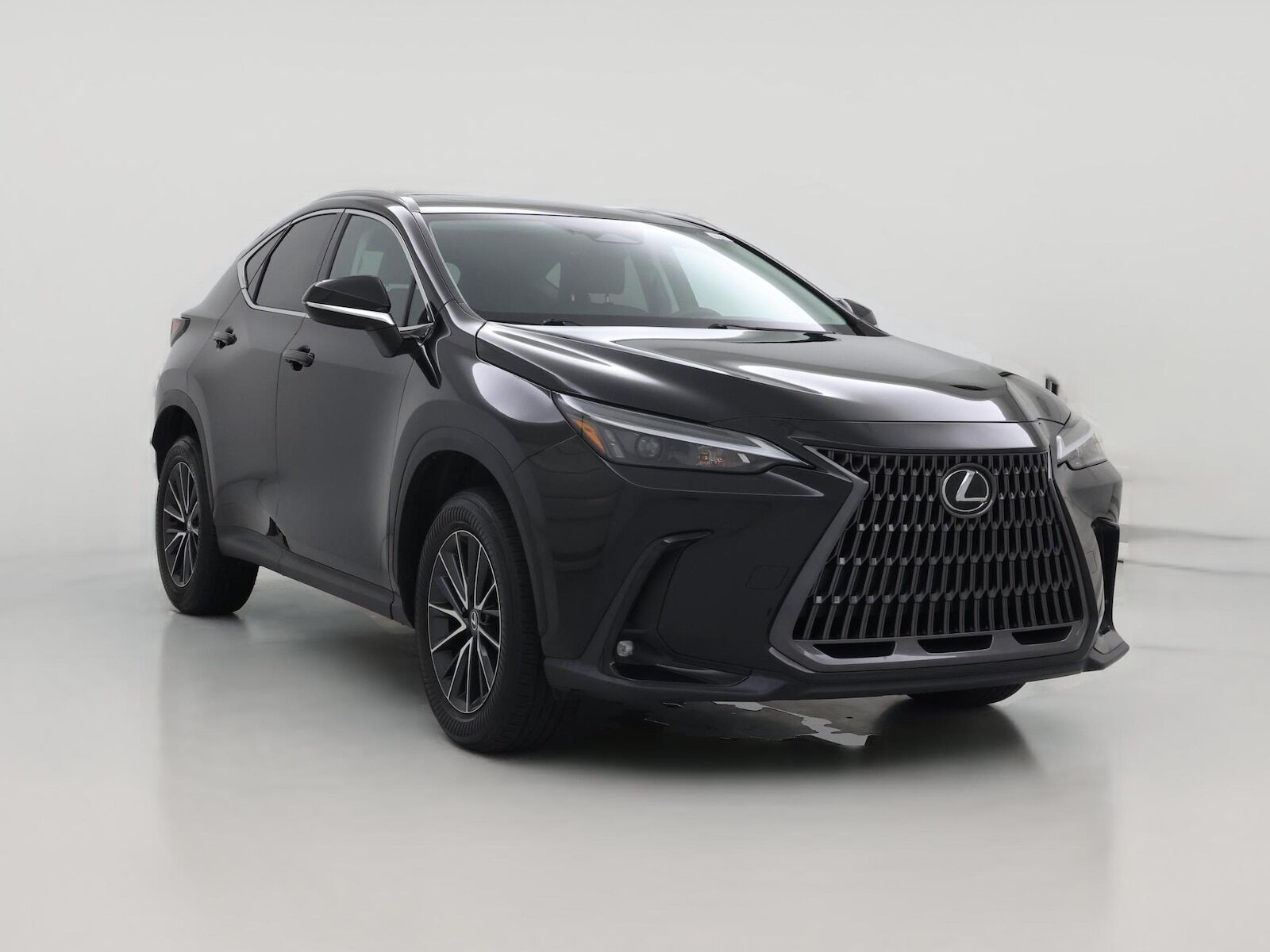 2024 LEXUS NX