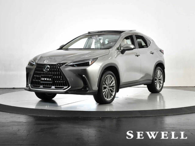 2026 LEXUS NX