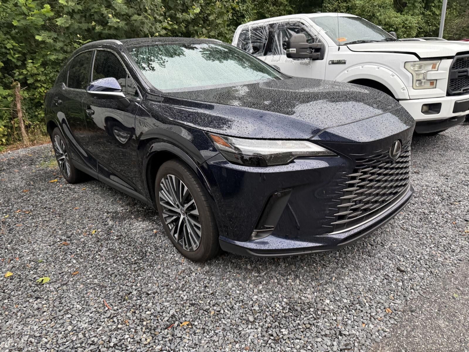 2025 LEXUS RX