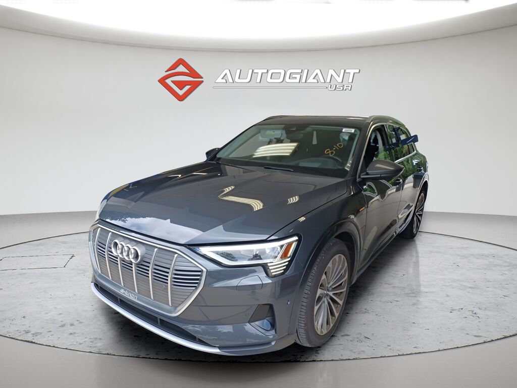 2019 AUDI e-tron