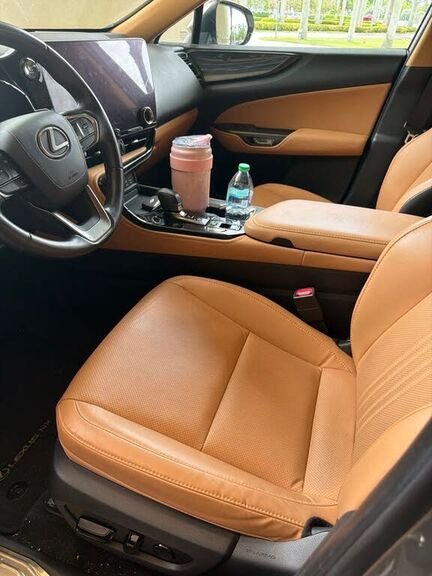 2024 LEXUS NX