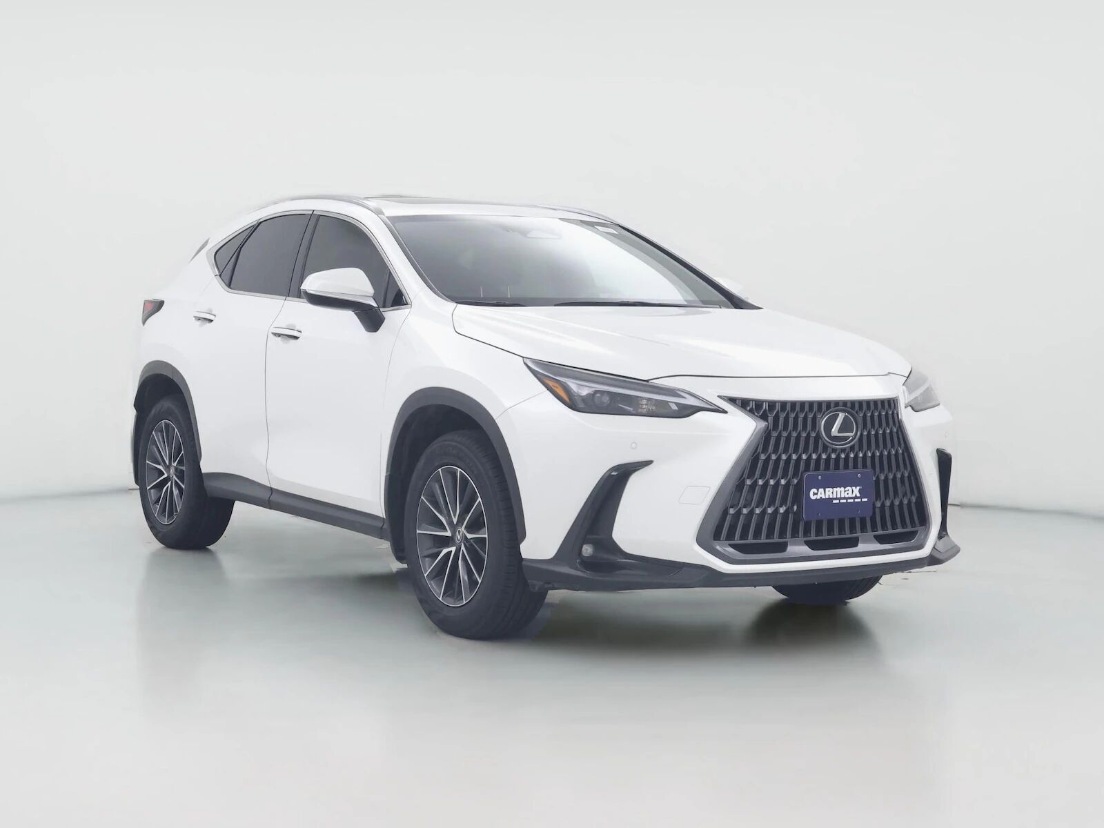 2025 LEXUS NX