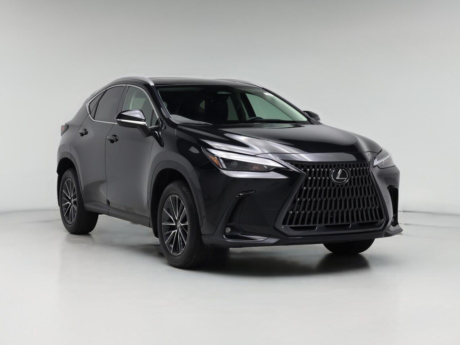 2024 LEXUS NX