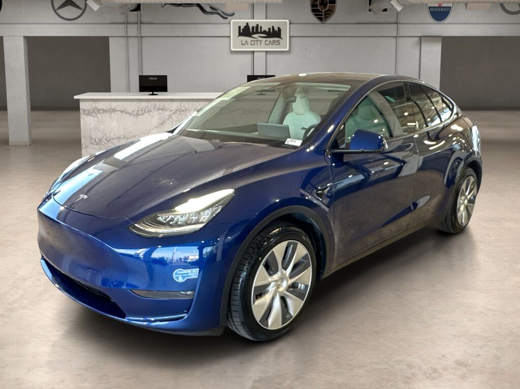 2020 TESLA Model Y