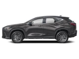 2024 LEXUS NX