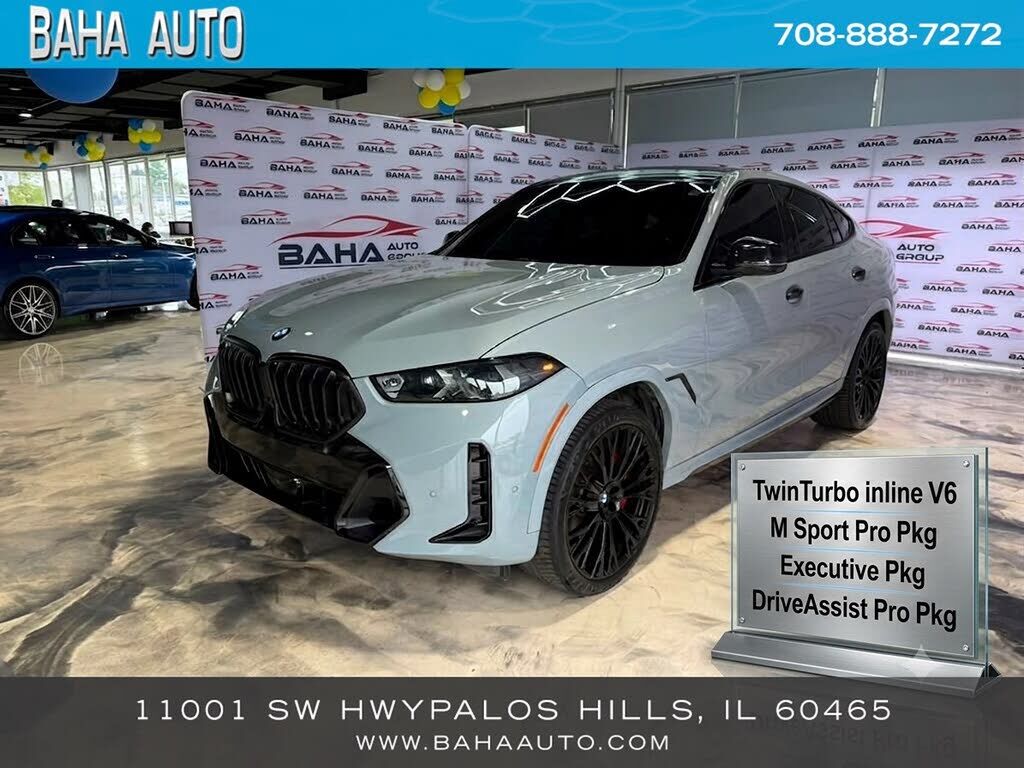 2024 BMW X6