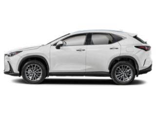 2024 LEXUS NX