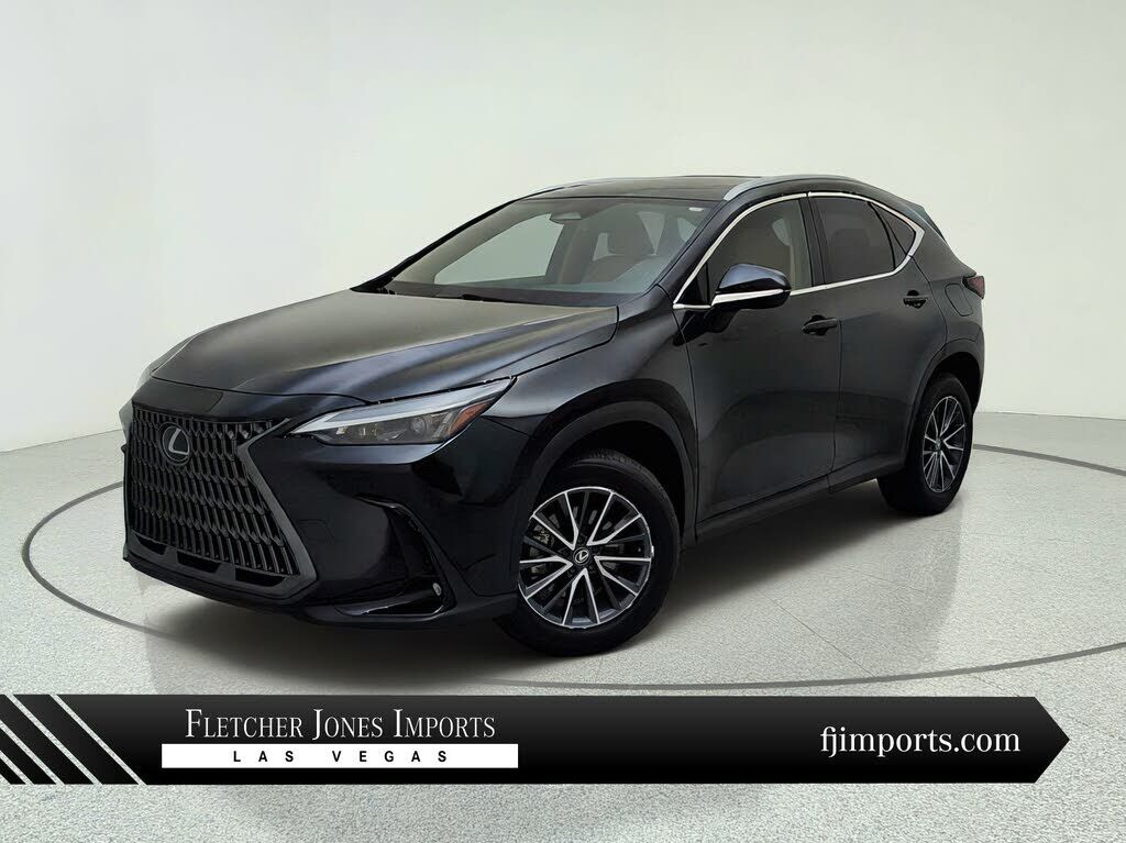 2024 LEXUS NX