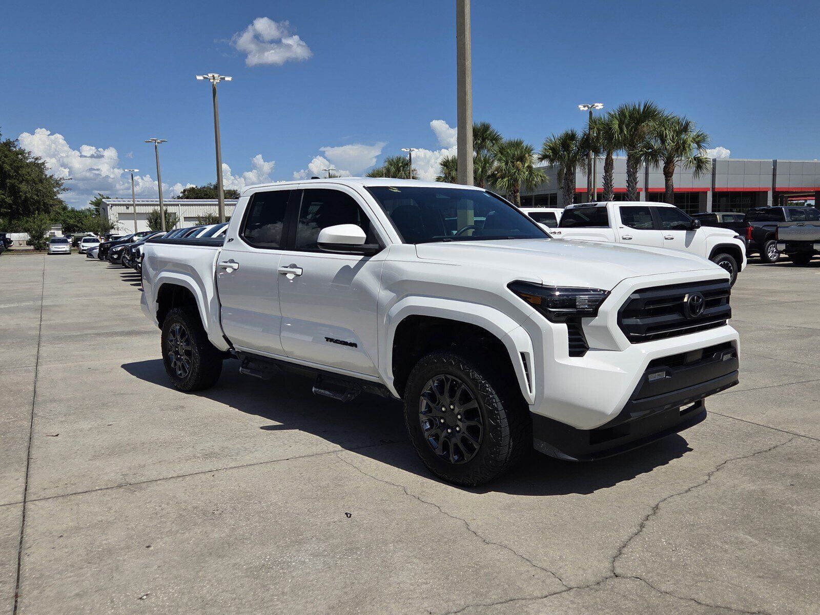 2024 TOYOTA Tacoma