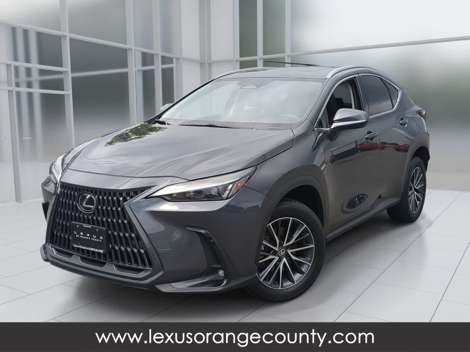 2025 LEXUS NX