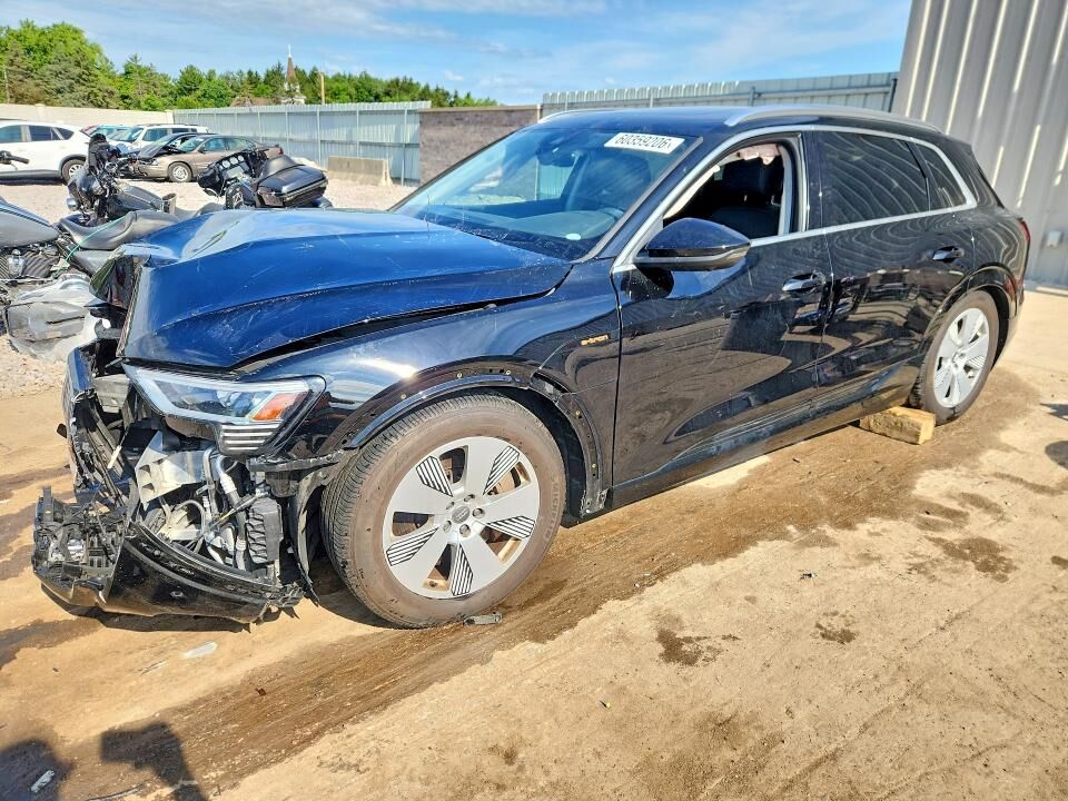2019 AUDI e-tron