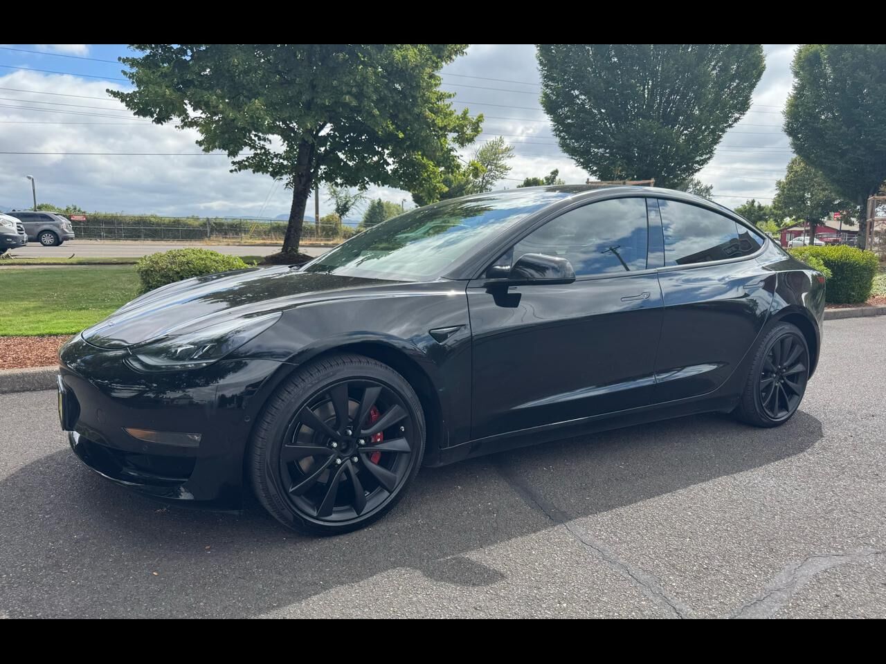 2019 TESLA Model 3