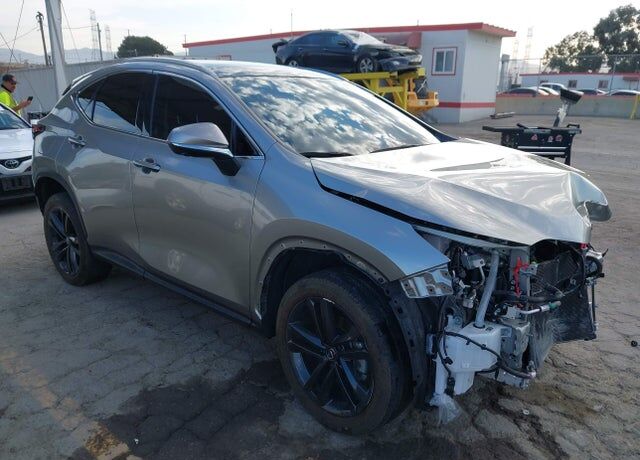 2025 LEXUS NX