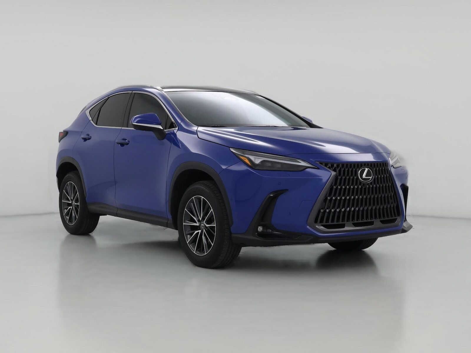 2025 LEXUS NX