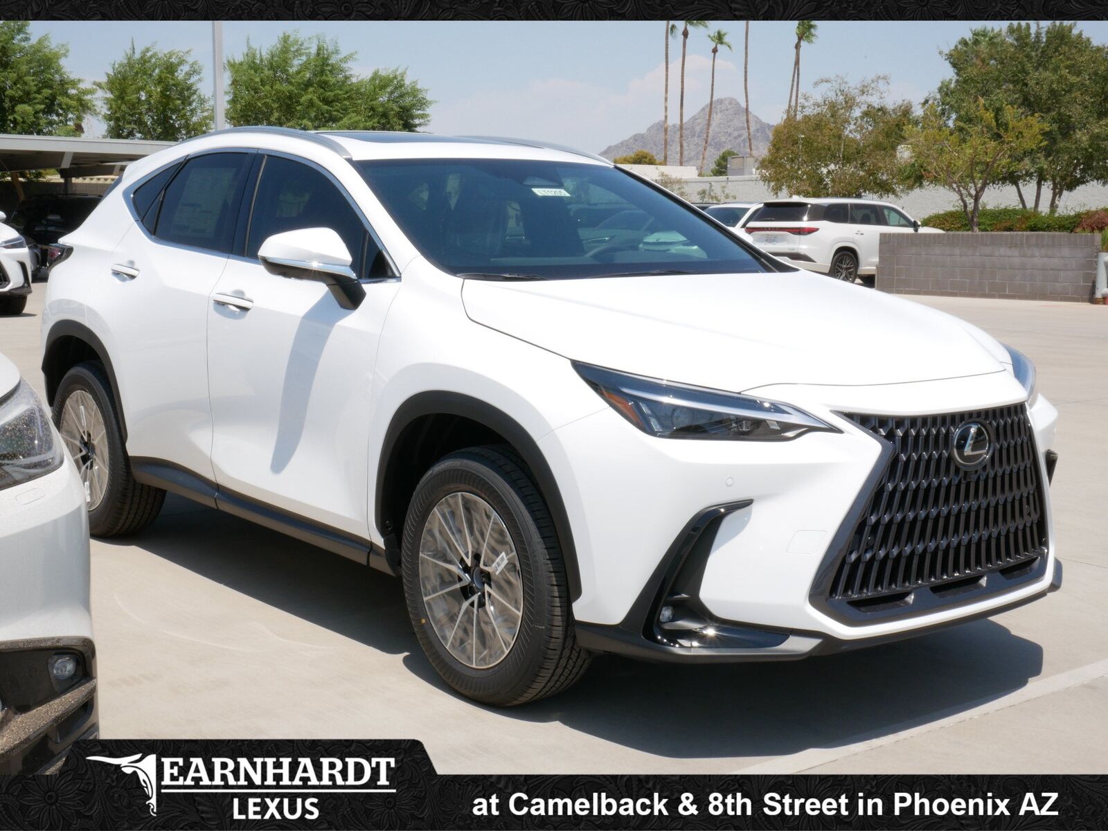 2026 LEXUS NX