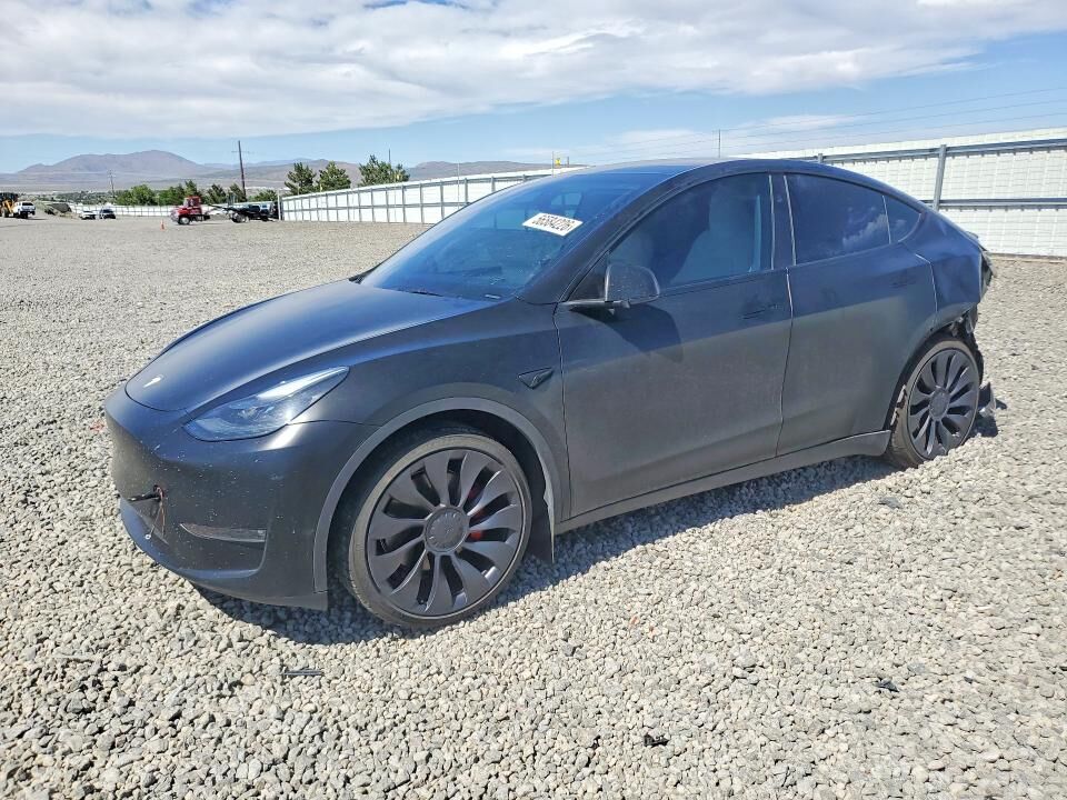 2024 TESLA Model Y