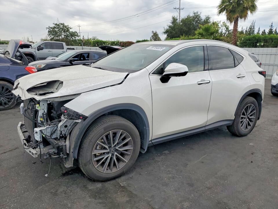 2024 LEXUS NX