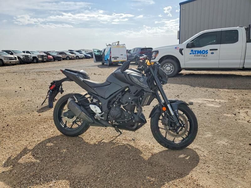 2023 YAMAHA MTN320