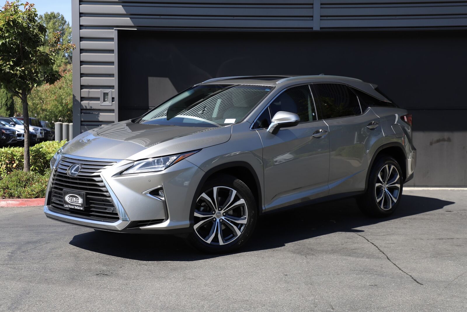 2017 LEXUS RX
