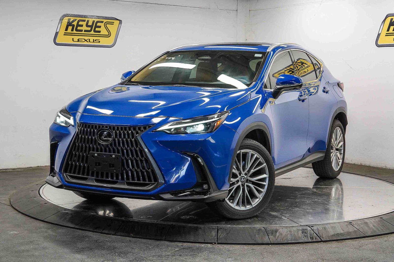 2025 LEXUS NX