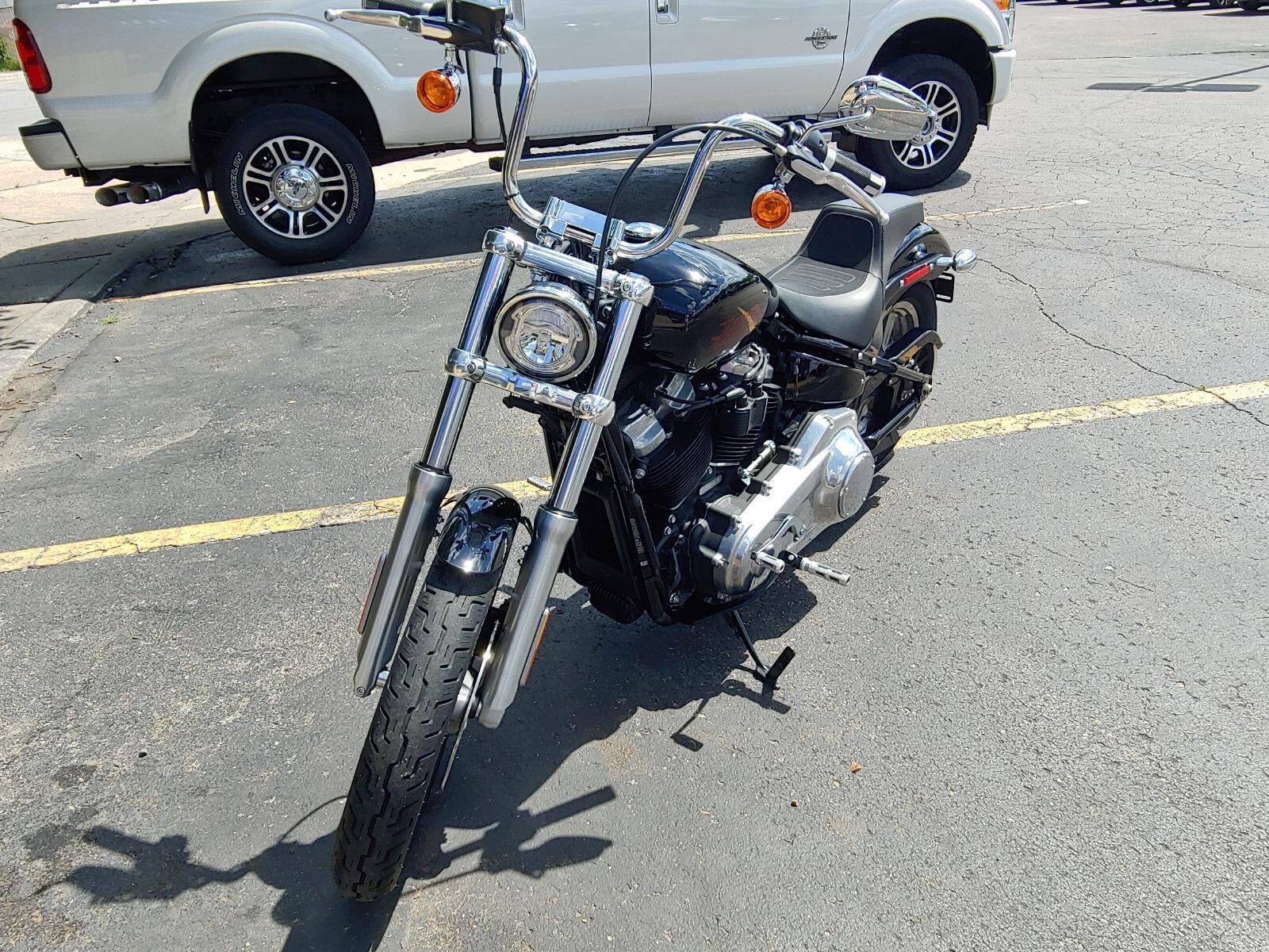 2024 HARLEY DAVIDSON Softail Standard