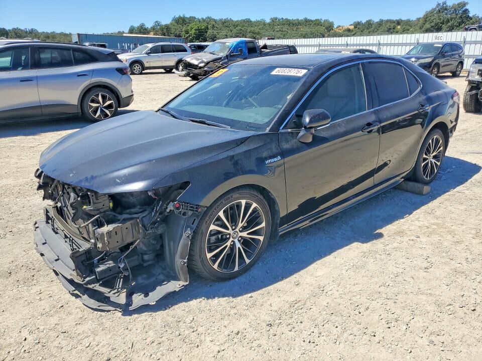 2019 TOYOTA Camry
