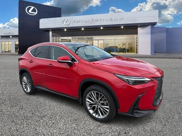 2024 LEXUS NX