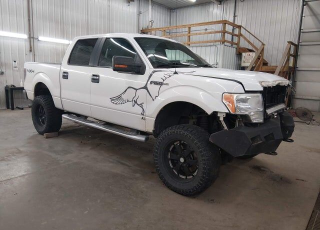 2013 FORD F-150
