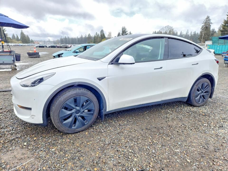 2024 TESLA Model Y