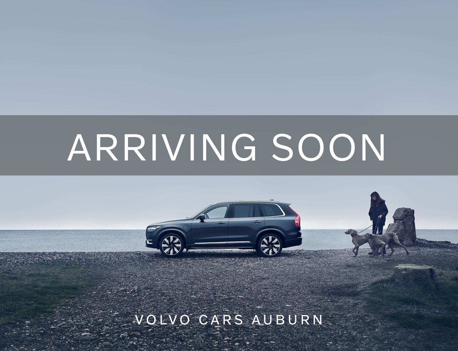 2023 VOLVO XC40