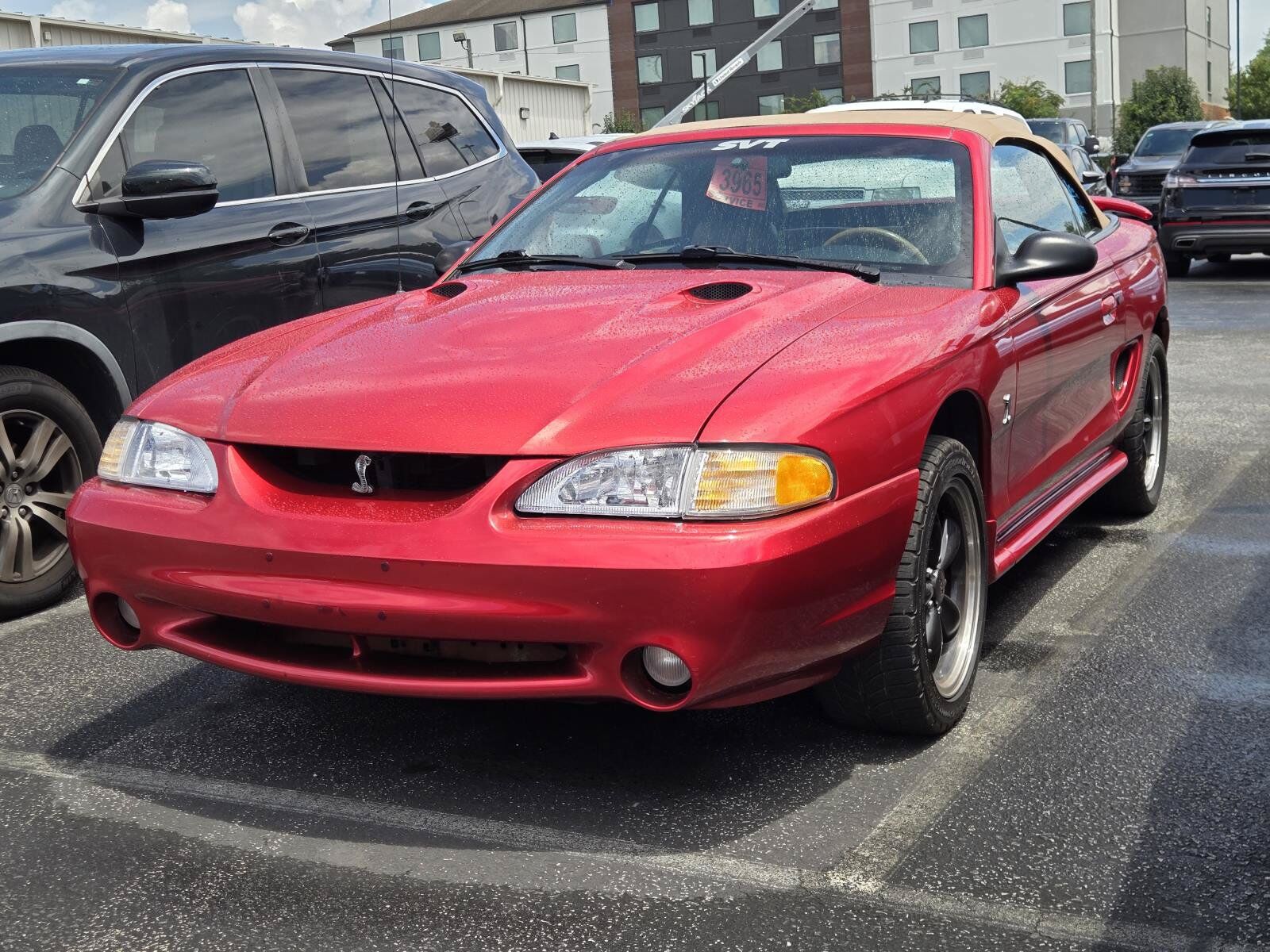 1998 FORD Mustang