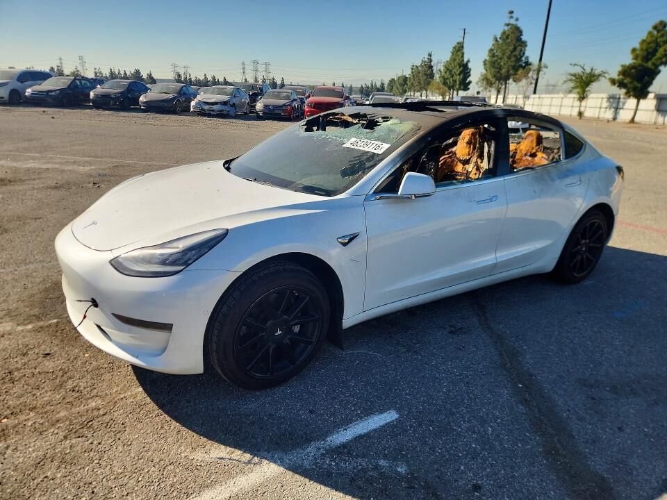 2019 TESLA Model 3