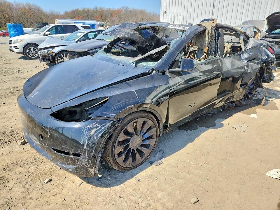 2023 TESLA Model Y