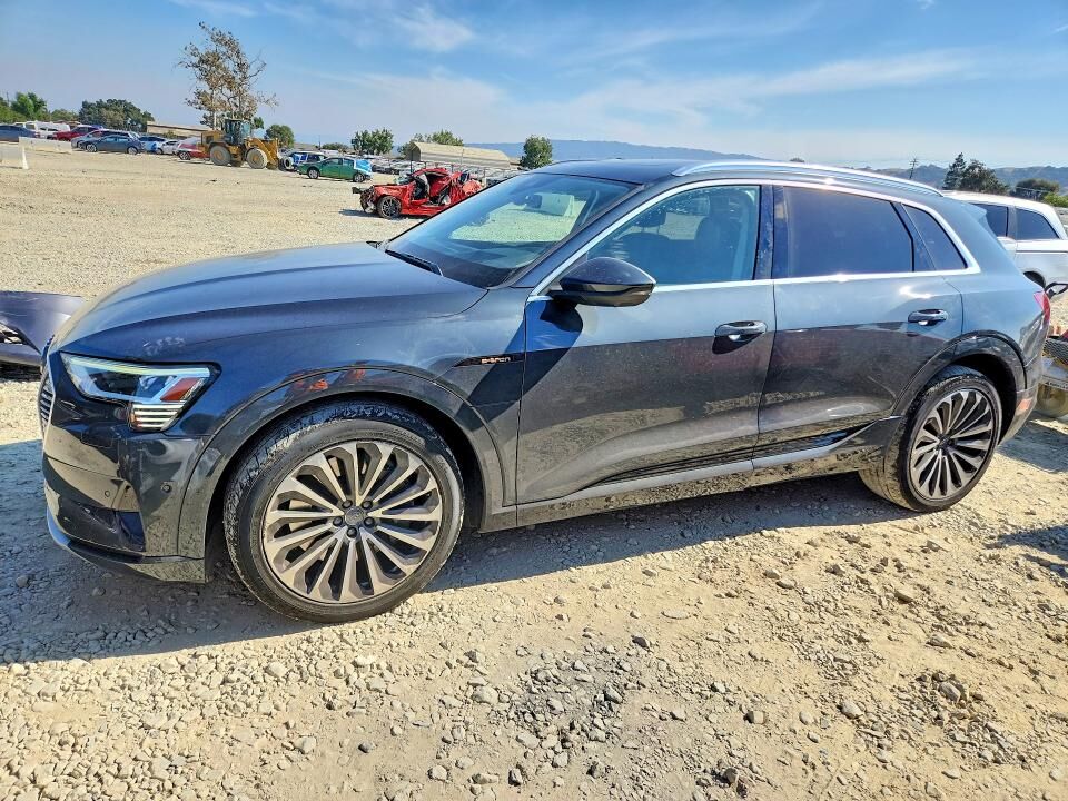 2019 AUDI e-tron