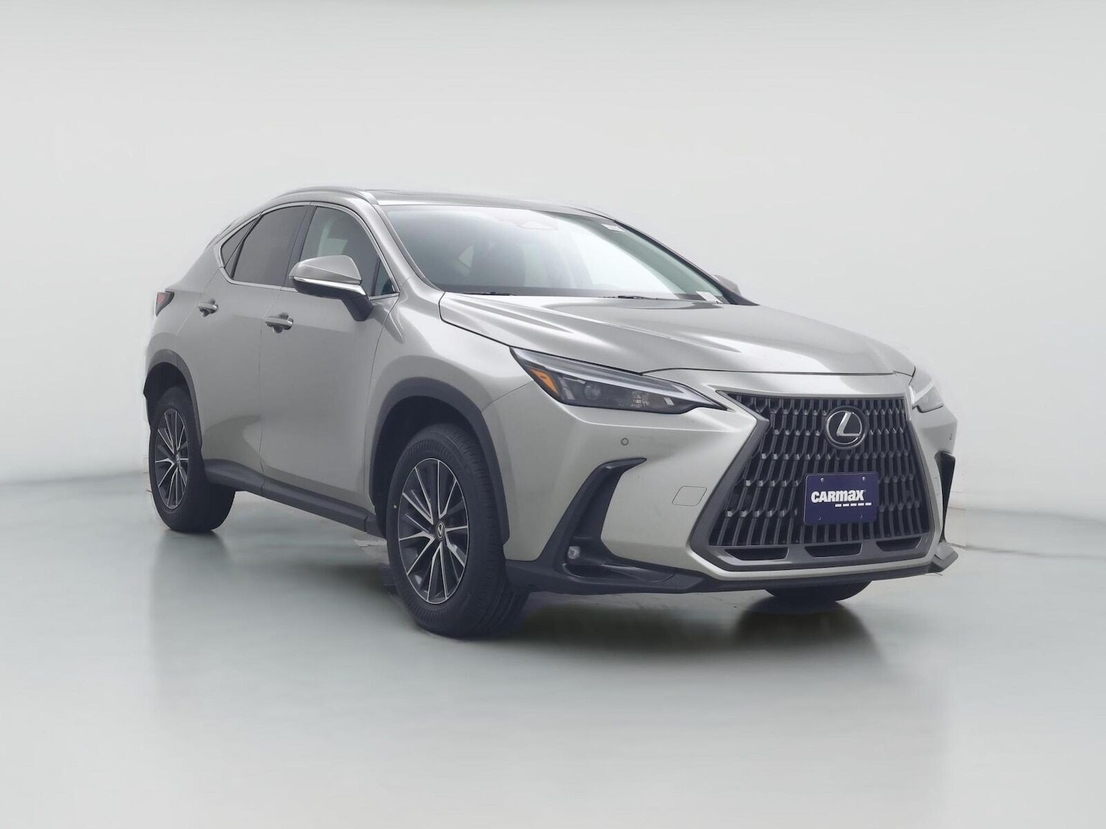 2024 LEXUS NX