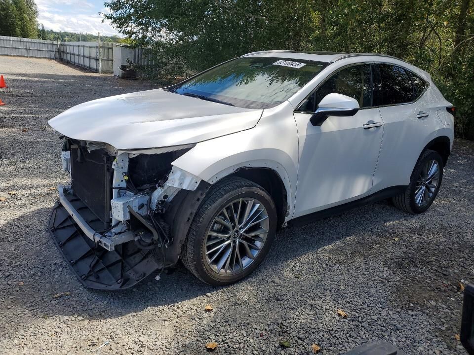 2023 LEXUS NX