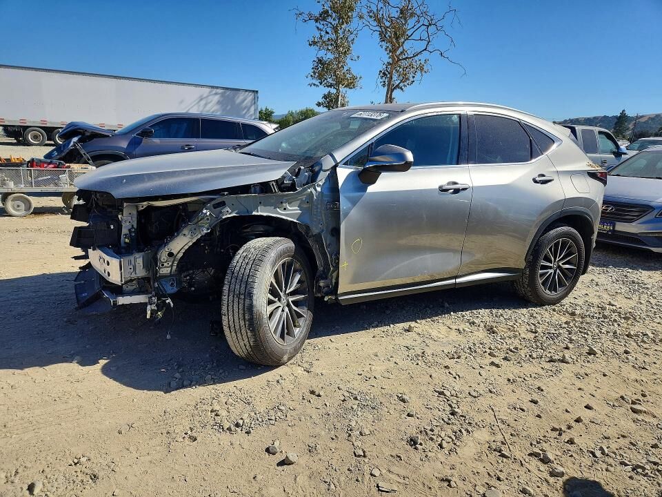 2024 LEXUS NX