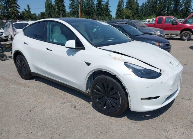 2024 TESLA Model Y