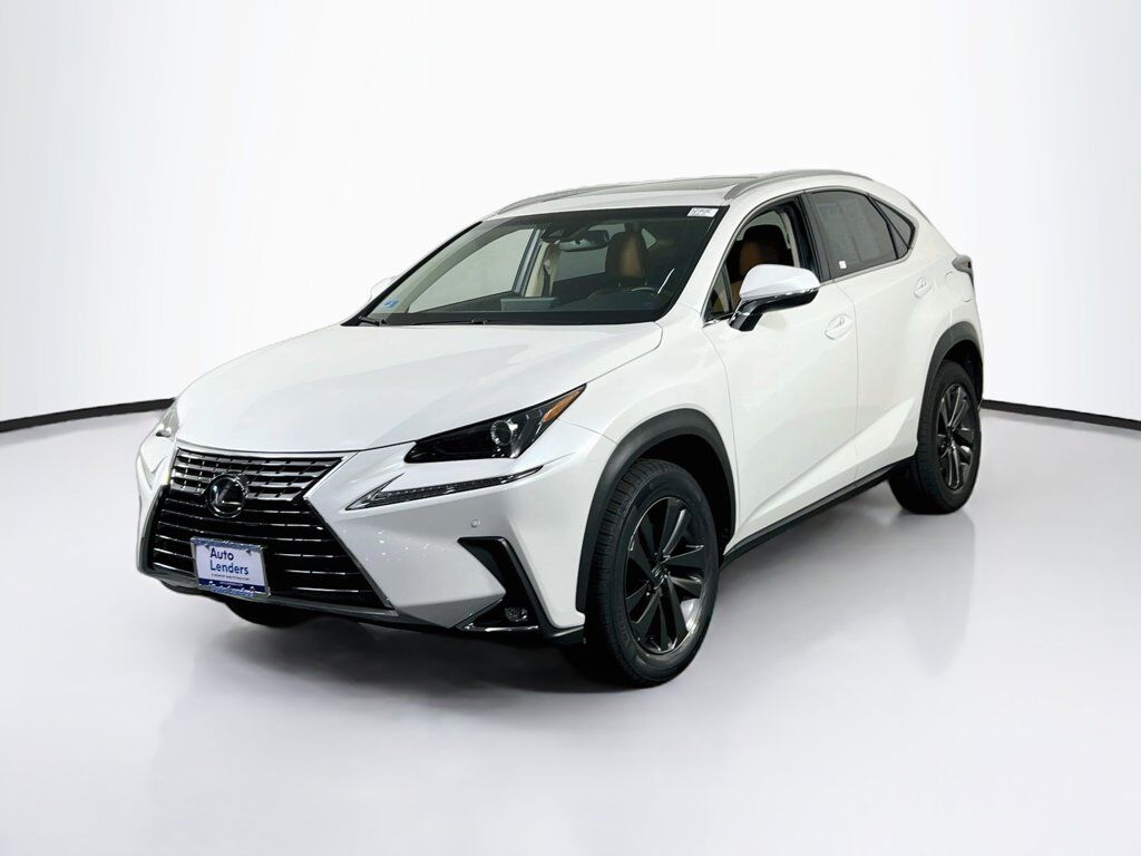 2019 LEXUS NX