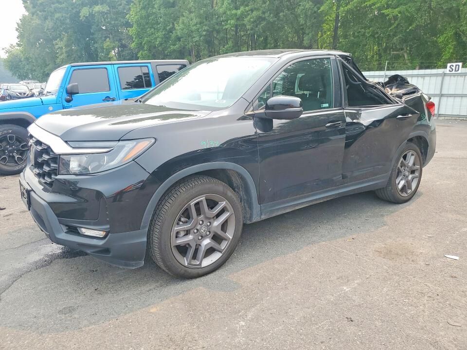 2023 HONDA Passport
