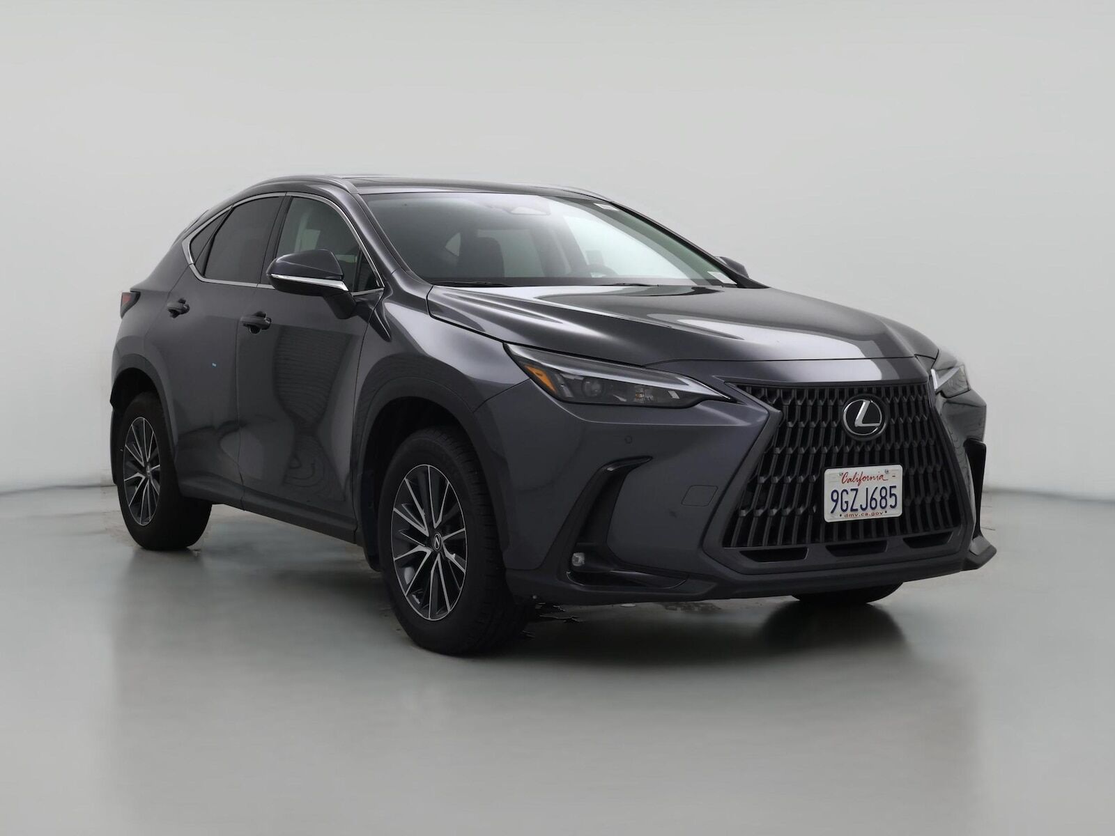 2024 LEXUS NX