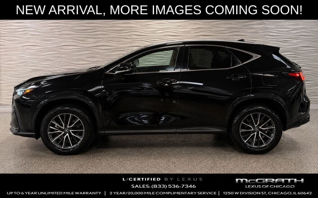 2024 LEXUS NX
