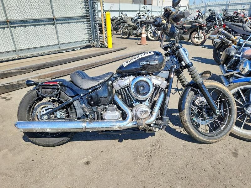 2025 HARLEY-DAVIDSON Street Bob