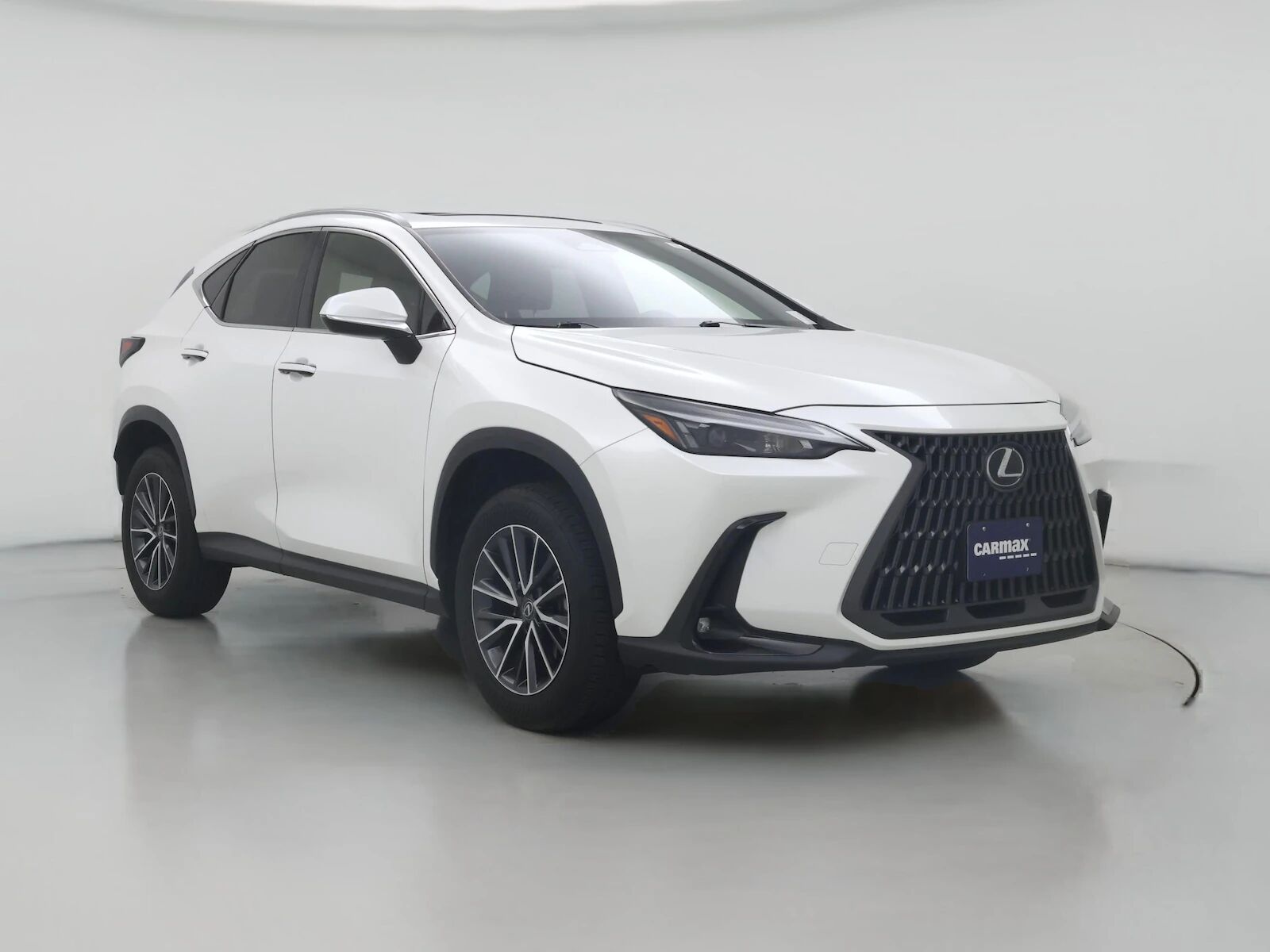 2024 LEXUS NX