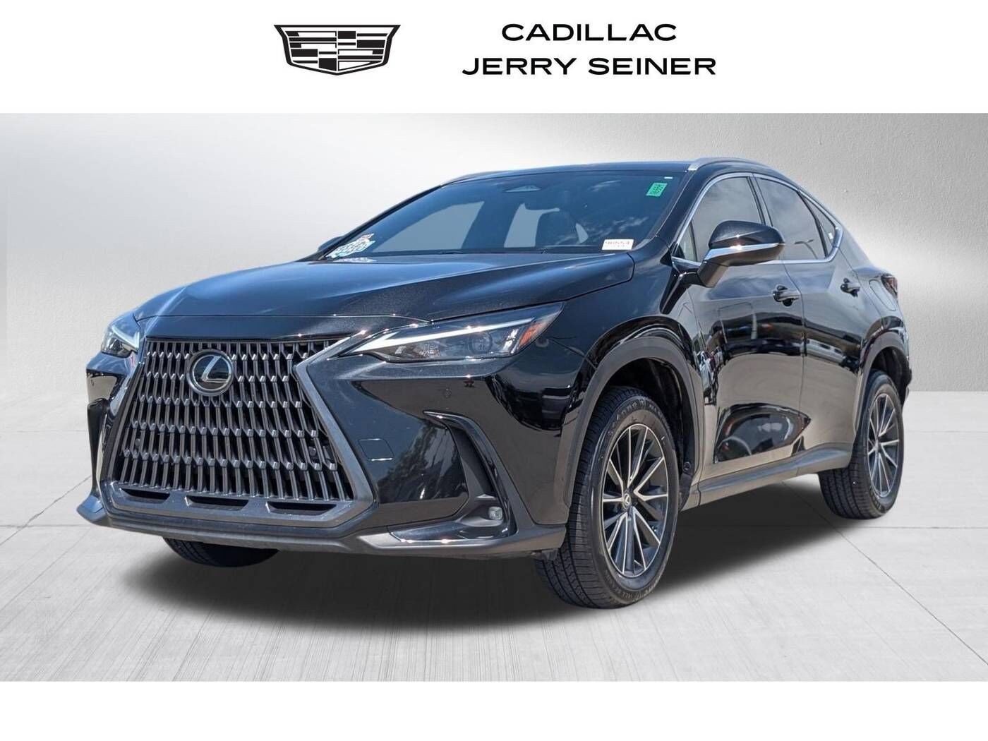 2024 LEXUS NX