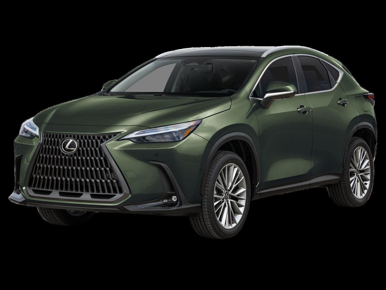 2026 LEXUS NX