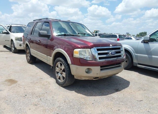 2010 FORD Expedition
