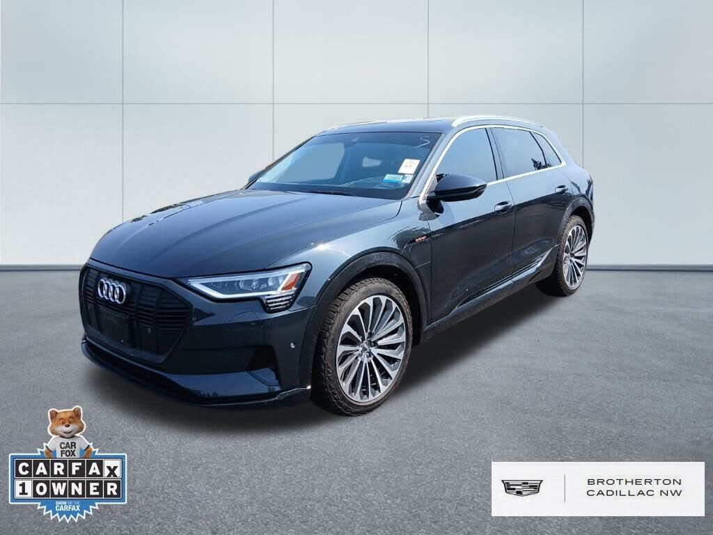 2019 AUDI e-tron